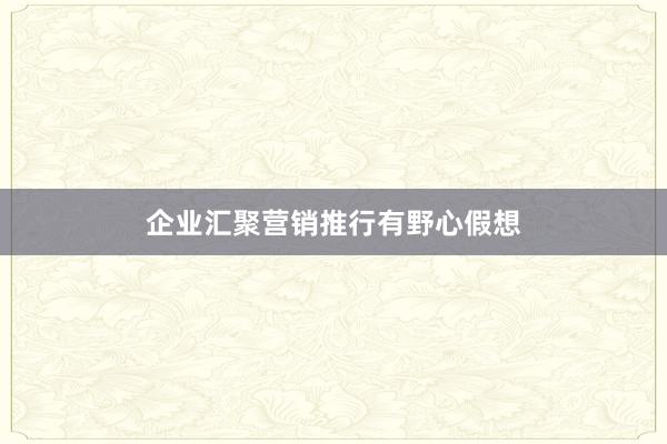 企业汇聚营销推行有野心假想